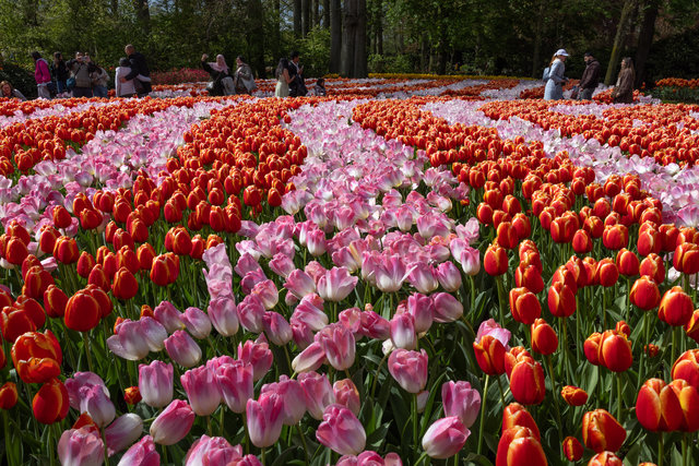 Amsterdam mama 2026-4863.jpg